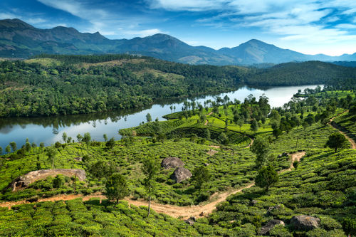 Холмы , озера и плантации в штате Керала